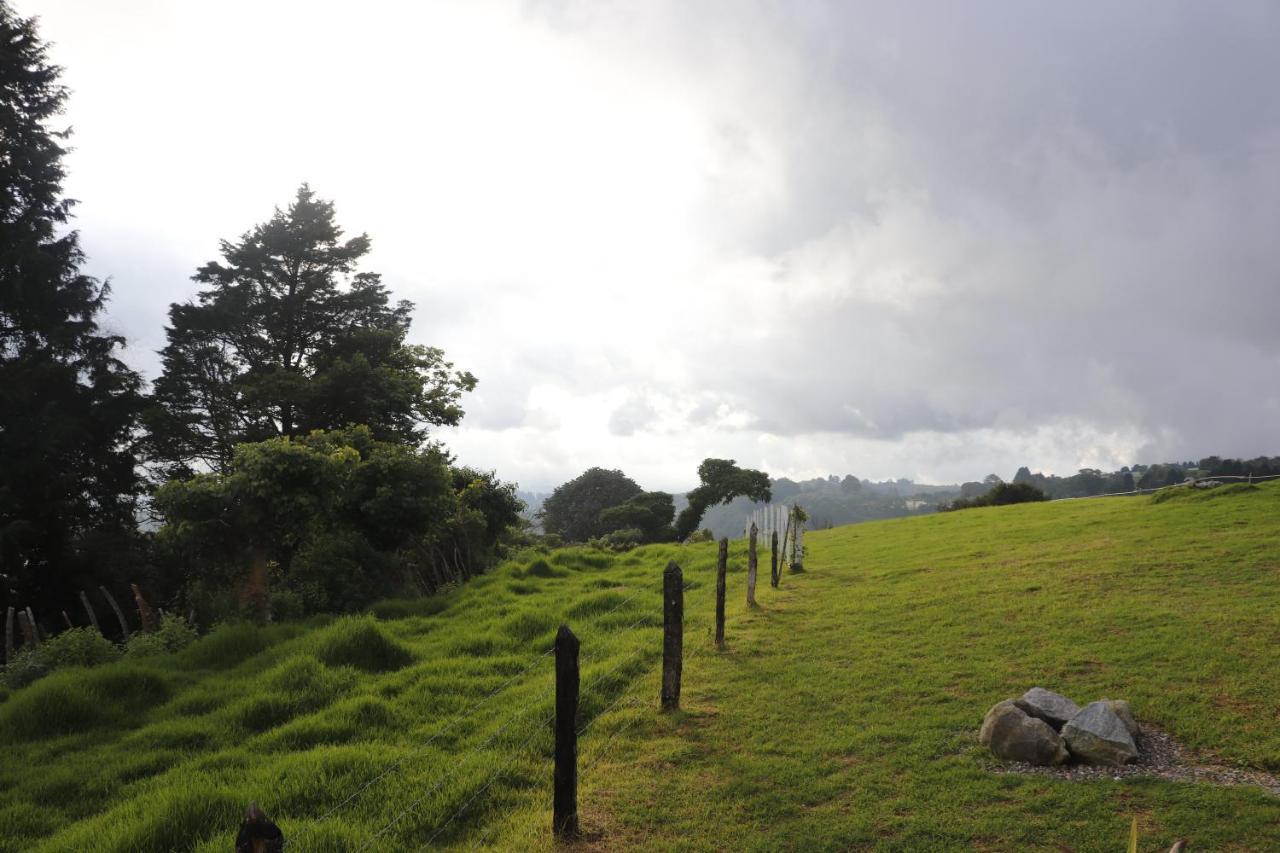 La Montanuela *